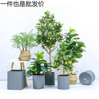 uploads/erp/collection/images/Home Garden/dgjiawang/XU0613006/img_b/XU0613006_img_b_1